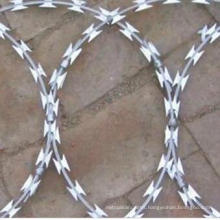 Factory Price Galvanized Concertina Razor Wire 